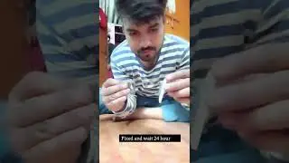 fire shoes bike how to make #song #