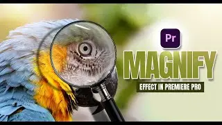Magnify Effect In Premiere Pro | #premierepro
