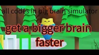 every code in big brain simulator