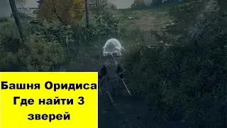 Башня Оридиса➤Где Найти 3 мудрых зверей в башне оридиса ➤Elden Ring