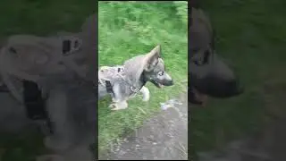 красавчик от Власа