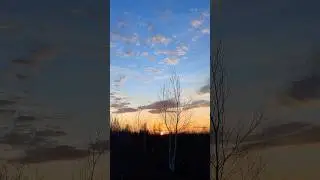 Тольятти. Почему так красиво в вечернем лесу 