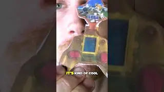 The Nintendo DS was stolen from SEGA