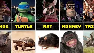 TMNT Characters in Real Life