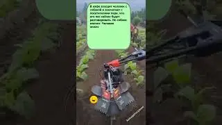 Анекдот ПРО собаку #приколы #смех #анекдоты #шутки #юмор