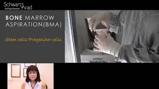 Severe atrophic edentulous maxilla – a case presentation - Part 2 of 2