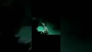 Scary  Netflix series