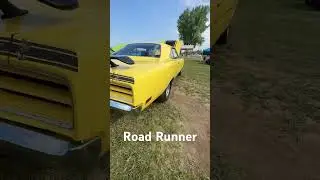 BEEP BEEP! Road Runner
