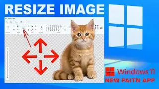 How To Quickly Resize Any Picture Using The New Paint App In Windows 11