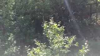 ДАЧА ОБЗОР ВИДЕО