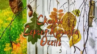 Сказки Сергея Козлова. Осень
