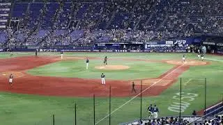 木村カエラ 始球式