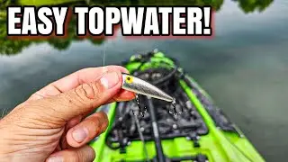 EVERYTHING Wanted This Tiny Popper!  (Summer Topwater Fishing)