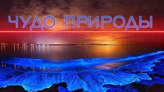 Светящийся океан | Неоновый планктон в Калифорнии