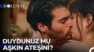 Bir Aile Olma Hikayesi #39 - Dolunay