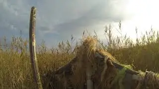 Хороший налёт.