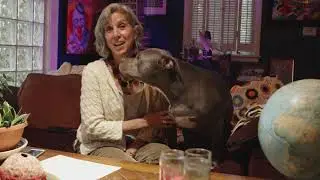 RoxArts | Portraits with Debbie and Blue