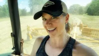 Let's rake hay! 🥳