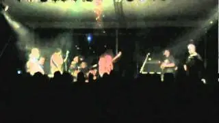 Terrapin Flyer - Moths!!!!