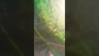 #вайб #работа #полный #Бак