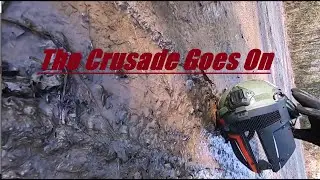 The Crusade Goes On. (Welcome to 2021)