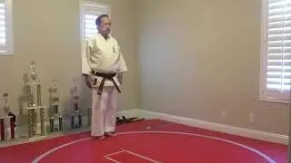 Uechi Ryu - Konchin- Henry Thom 10-Dan Hanshi.