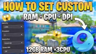 How to set custom DPI,CPU cores etc.