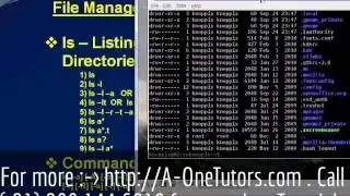 ls Command In UNIX