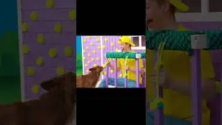 Building obstacles for a cat