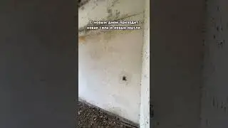 Реальная возможность добиться успеха кроется в самом человеке, а не в работе.  | Зиг Зиглар #жизнь