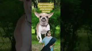Низкий друг. Новые приключения