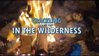 Winter Camp fire in the wilderness