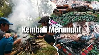 Bushcraft lagi | Kembali Merumput