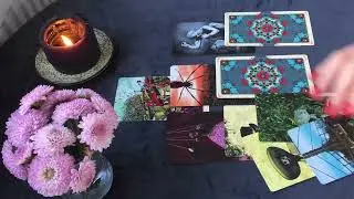 ЛЕВ🌸 14-20 октября 2024