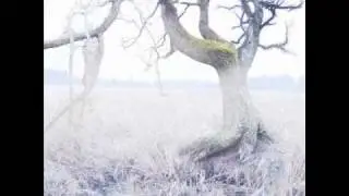 Of Your Funeral - The First Time I Died