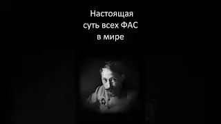 Настоящая суть всех ФАС в мире