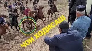 БУЗКАШИ ТУЙЧИОБОД 12 марта 2022 г.[КАТА УЛОК]КОКАРИ👍🛎 ТУЙЧИОБОД 12 03 2022🐴🐴🐴🐴