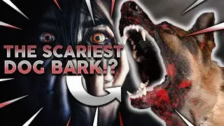 TOP 10 SCARIEST DOG BARKS! Which Breed Has The Loudest Scariest Bark?