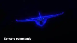The fastest way to get a Trivalve egg in subnautica below zero