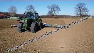 Passage de herse étrille sur un champ d'orge brassicole