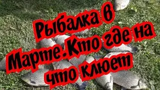 РЫБАЛКА В МАРТЕ. КАКУЮ РЫБУ ЛОВИТЬ В МАРТЕ.ГДЕ ИСКАТЬ КОГО НА ЧТО ЛОВИТЬ. ПРИКОРМКА И НАЖИВКА.