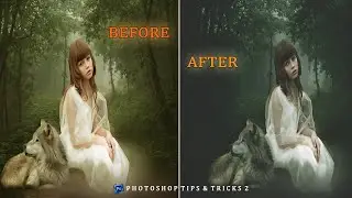 Matte Dramatic Effect / Dramatic Color effect In Photoshop / Photoshop Tutorials / Tips & Tricks