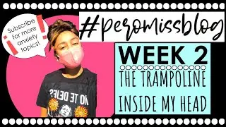 PEROMISS BLOG WEEK 2: THE TRAMPOLINE INSIDE MY HEAD