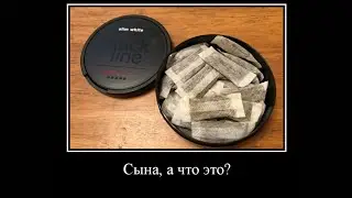 вот он, снюсоед проклятый
