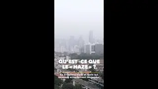 "Le Haze" - Reportage