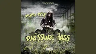 Pressure Bags