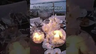 Добрый вечер! Сладких снов!