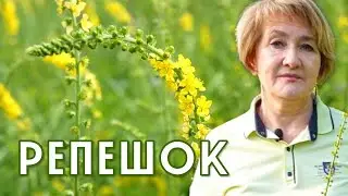 РЕПЕШОК, который умеет почти все!