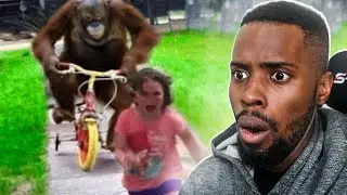 Hilarious MEMES Out Of Context