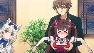Nekopara 『